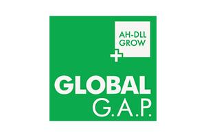 global gap ah dll grow