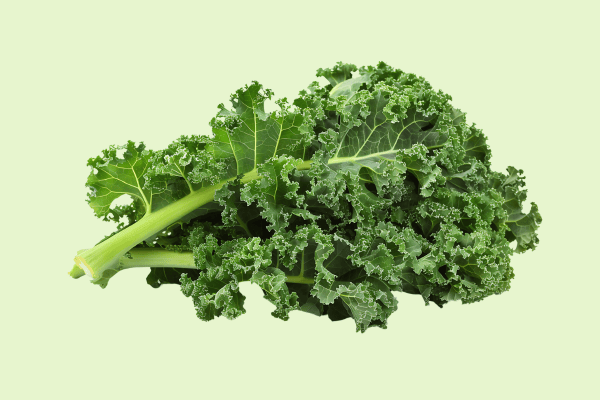 Grünkohl